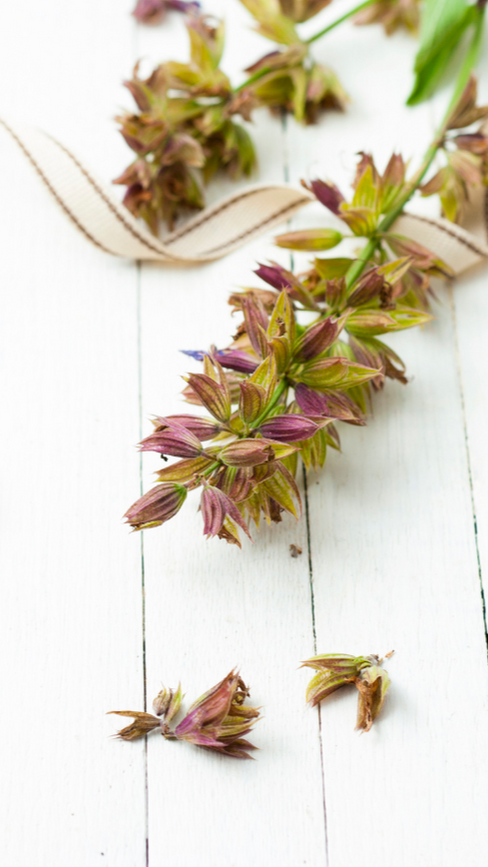 coaching, personal development, mentoring, professional, career development, life coaching, career coaching, clarity, growth, inspiration, growth mindset, learning agility, self-awareness, goal setting, stress management, emotional intelligence, leadership development, training workshop, professional mentoring, personal growth, purpose alignment, breakthrough coaching, coaching Malaysia, mentoring Malaysia, HRDF certified trainer, personalized coaching, career alignment, mindset coaching, self, confidence, purpose, reflection, motivation, entrepreneurship coaching, organization development, one-on-one coaching, development coaching, clarity coaching, behavioural change, life direction, career transition, coaching for professionals, growth coaching, personal clarity, intentional living, executive coaching, growth mindset, organizational development, business development, business management, people management, performance management