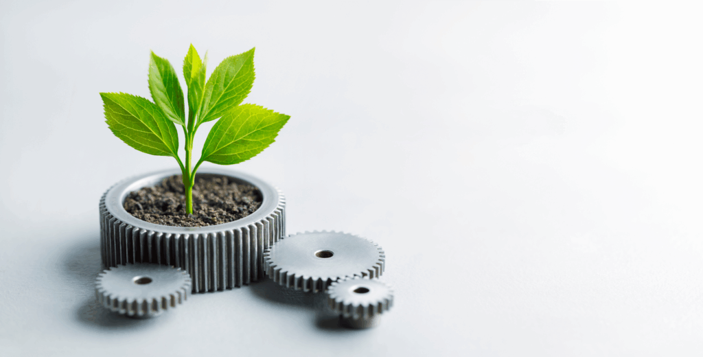 Personal Development, Coaching Insights, personal growth, self-awareness, growth, clarity, purpose, coaching, reflection, growth mindset